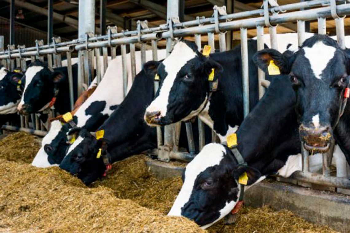MADR | Proiect de act normativ pentru susținerea activității crescătorilor de animale
