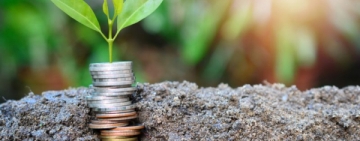 A fost aprobată schema de ajutor de stat „Creditul Fermierului”