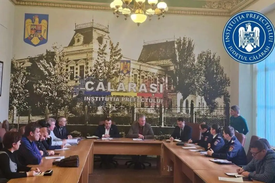Noi focare de pestă porcină africană, confirmate. Vezi zonele vizate!