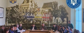 Noi focare de pestă porcină africană, confirmate. Vezi zonele vizate!