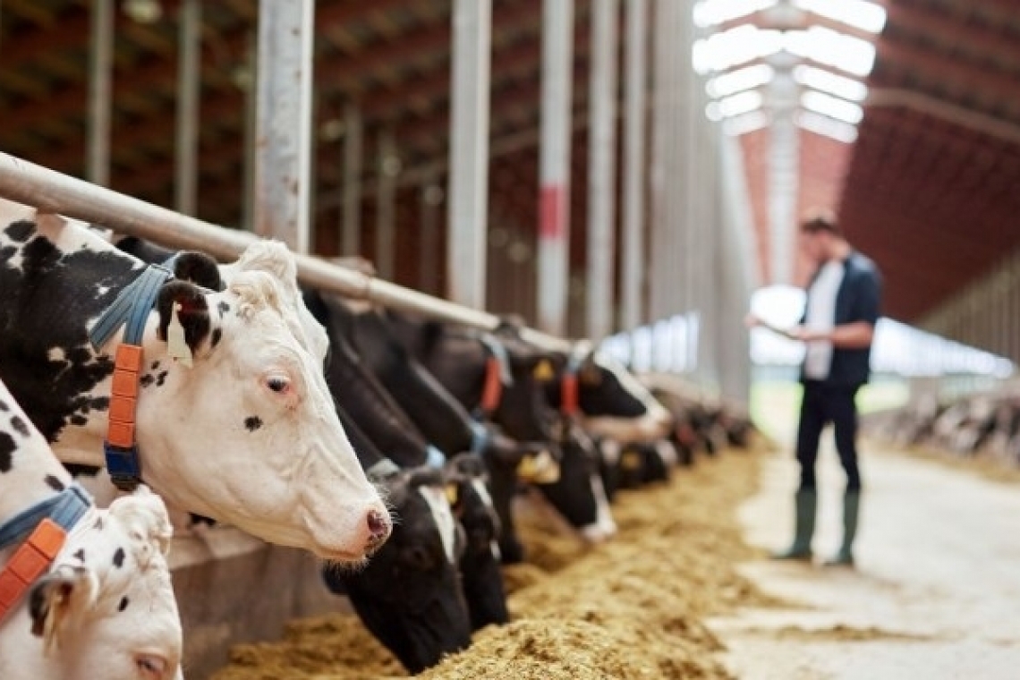 Schemă de ajutor de stat pentru sectorul creșterii animalelor