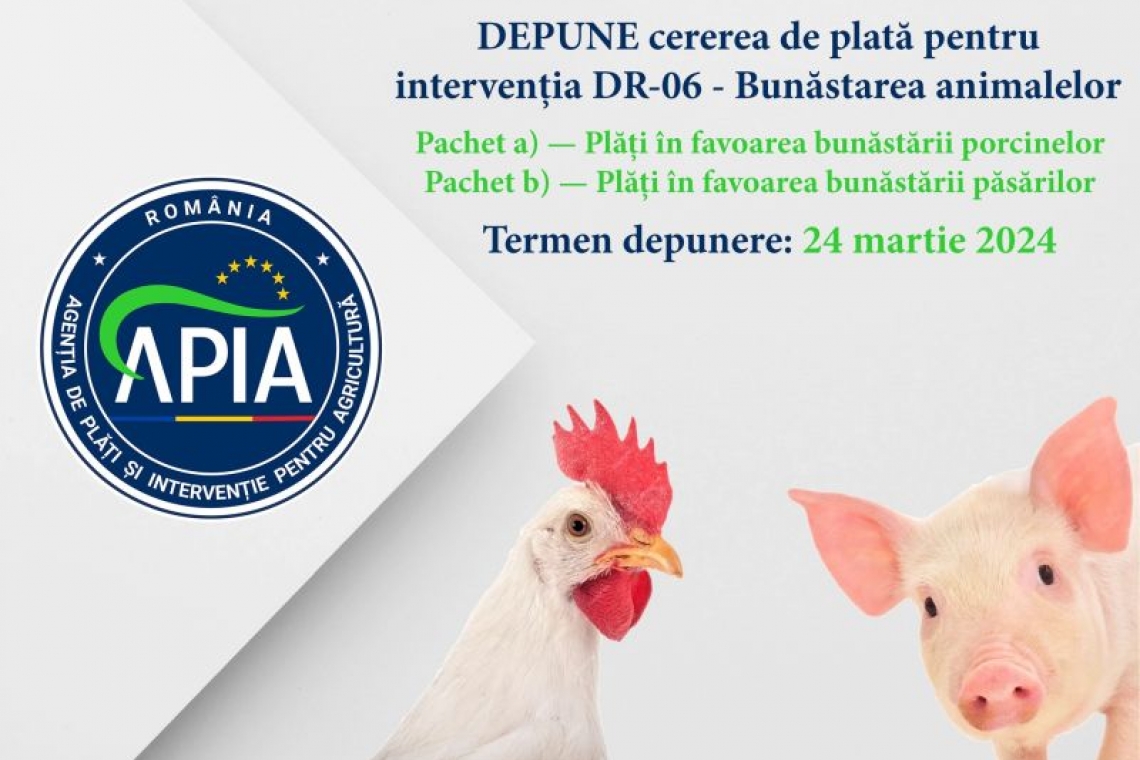 APIA primește până pe 24 martie inclusiv Cereri de plată pentru intervenția DR-06 - Bunăstarea animalelor