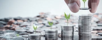 IMM Plus a fost aprobat de Guvern: Schema de ajutor de stat cu buget de 12,5 miliarde lei va sprijini 11.500 companii 