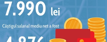INS | Câştigul salarial mediu brut pe economie în luna febuarie 2024 a fost 7.990 lei şi cel net 4.876 lei