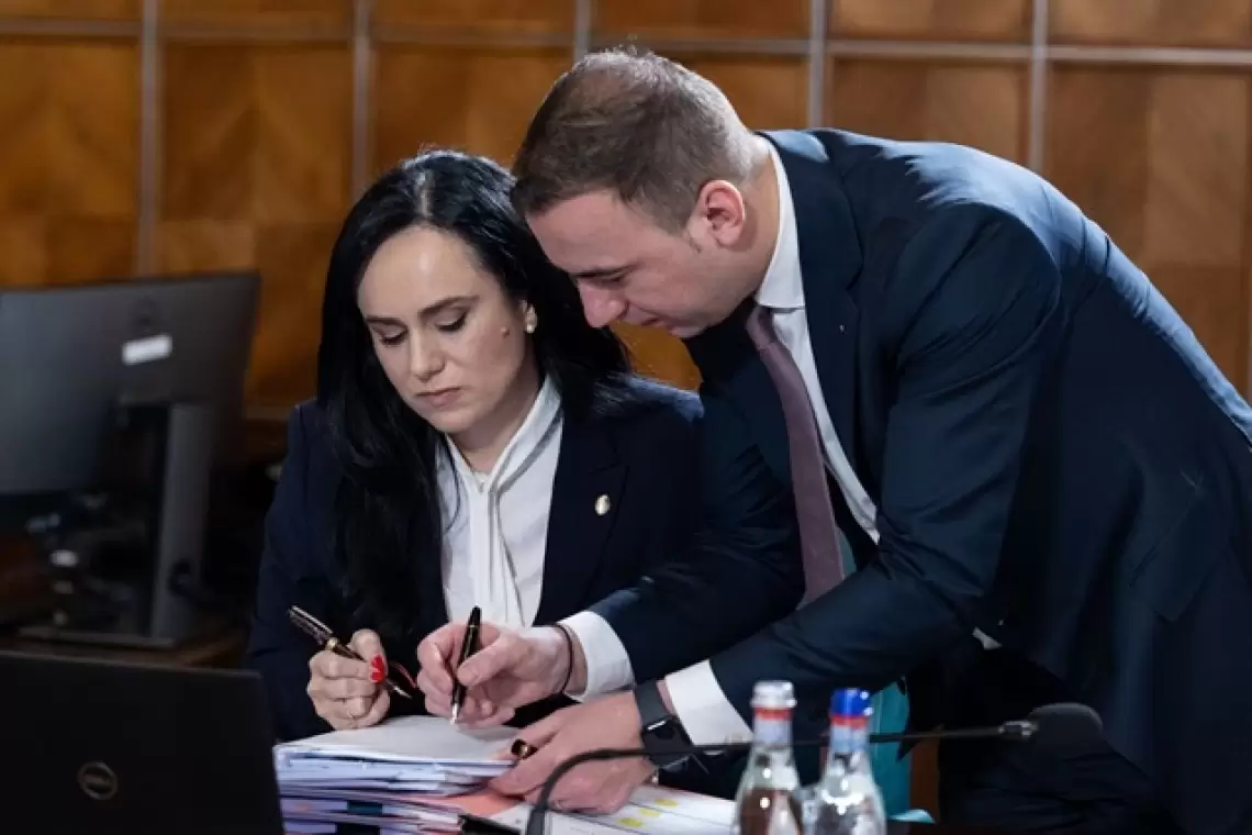 Noutate pe piața muncii: persoanele fizice pot angaja și plăti legal personal pentru activitățile casnice. Prestatorii beneficiază de drepturi pe care le au și angajații