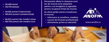 3,09%, rata şomajului înregistrat în evidenţele ANOFM în luna iulie 2024