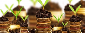 Schema de ajutor de stat „Creditul fermierului” a fost modificată, iar bugetul a fost majorat