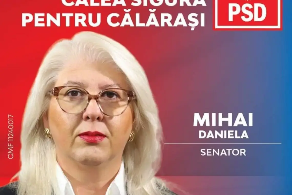 Daniela Mihai: O viziune pentru dezvoltare economică și socială