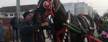 Independența | Boboteaza va fi sărbătorită și la Independența
