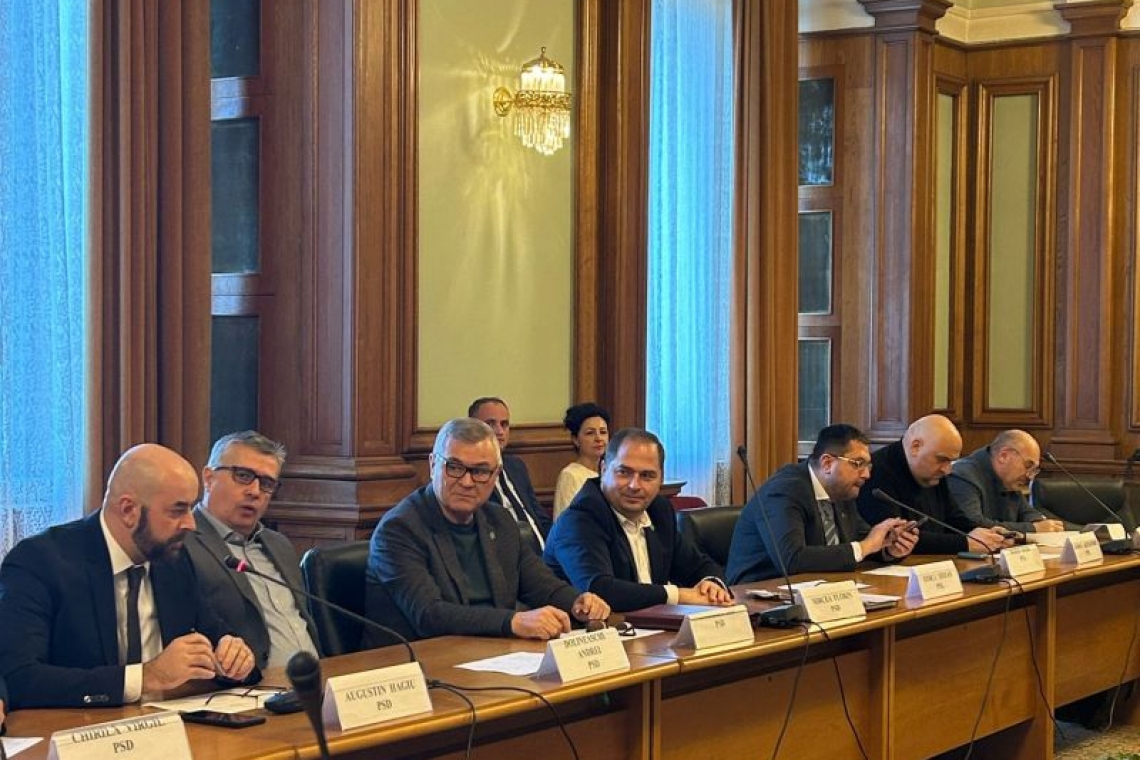 Ion Samoilă: Munca mea în aceste comisii are ca scop sprijinirea sectorului agricol și îmbunătățirea infrastructurii