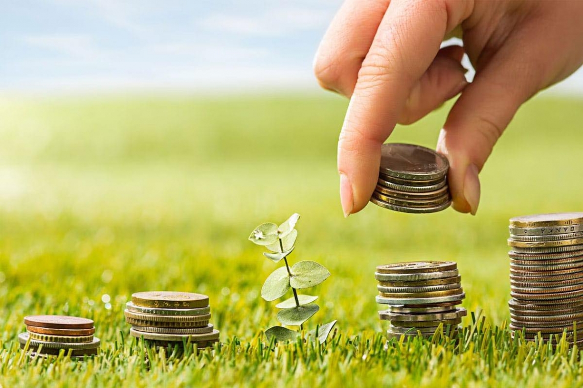 Peste 1 miliard de lei pentru plata ajutoarelor naționale tranzitorii pentru anul de cerere 2024