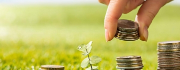 Peste 1 miliard de lei pentru plata ajutoarelor naționale tranzitorii pentru anul de cerere 2024