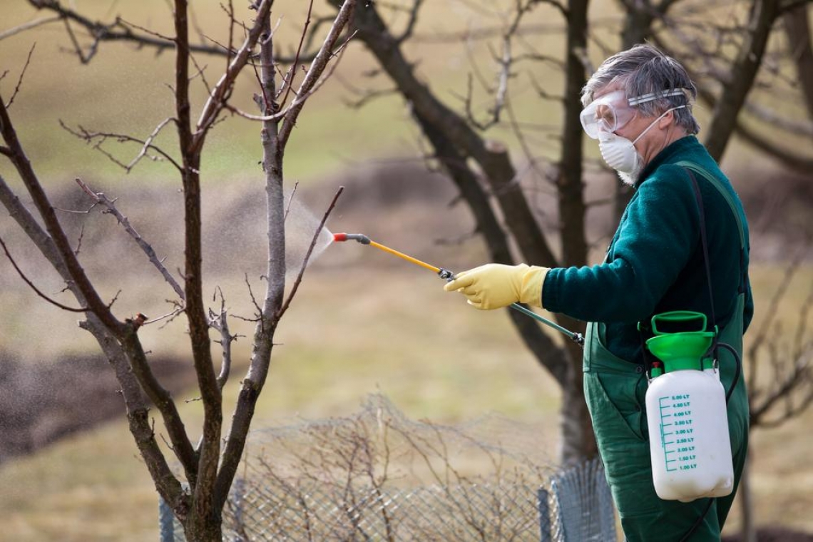 Călărași | Tratamente pentru combaterea dăunătorilor vegetației: 25 – 26 aprilie 2025