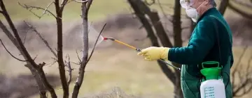 Călărași | Tratamente pentru combaterea dăunătorilor vegetației: 25 – 26 aprilie 2025