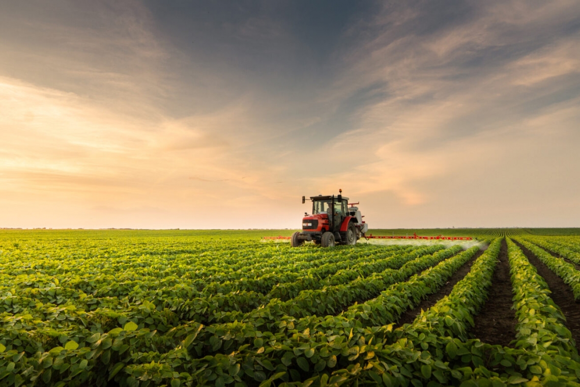 Ajutor pentru capital de lucru în agricultură prin noul program „Creditul Fermierului”