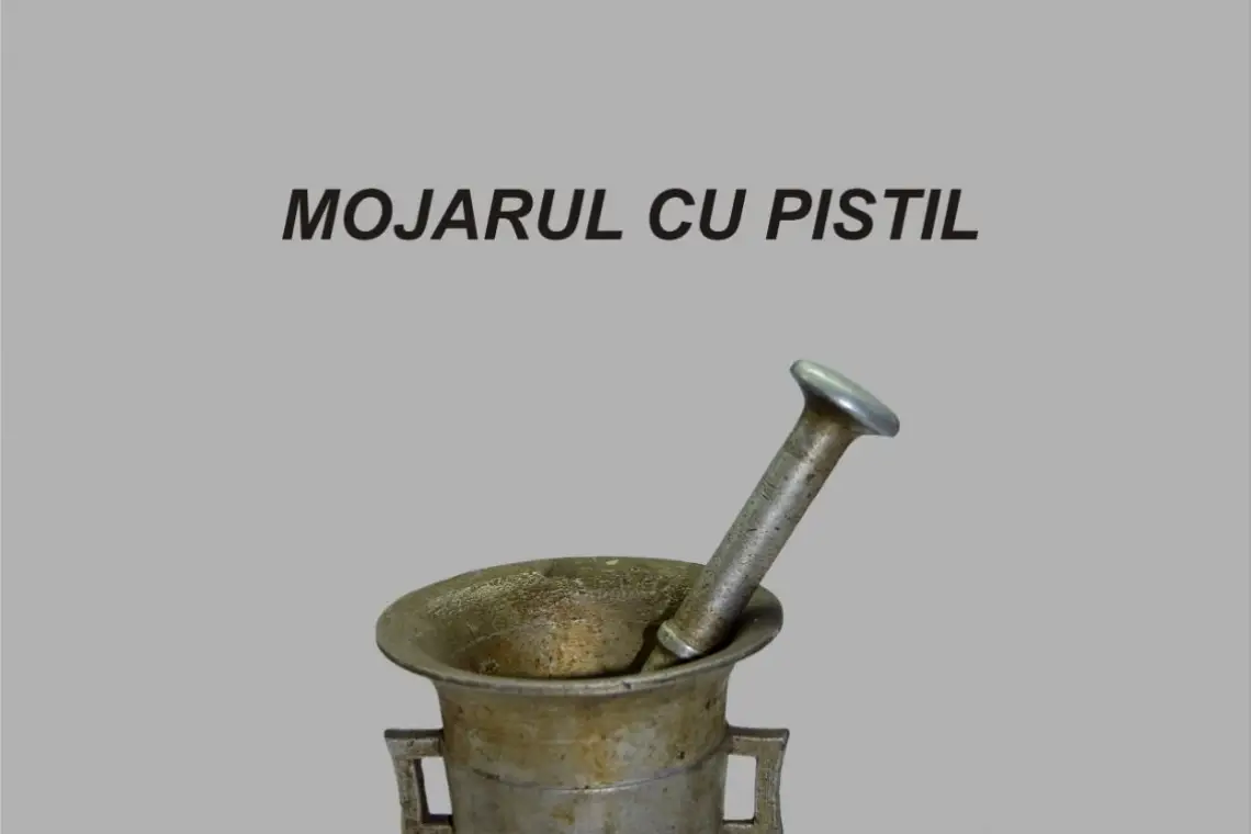 MUZEUL DUNĂRII DE JOS | Exponatul lunii iunie: Mojarul cu pistil