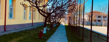 Ulmeni | Reamenajarea terenului de sport din curtea Școlii 2
