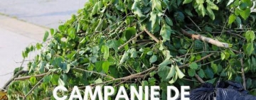 Oltenița | Primăria și Ecosal reiau acțiunea de colectare a masei vegetale! 