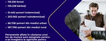 ANOFM | 3,19% - rata şomajului înregistrat în luna iulie 2025