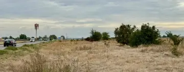 Călărași | Primăria și Asociația “Pădurea Copiilor”, parteneriat pentru realizarea de perdele de protecție și aliniamente stradale pentru combaterea efectelor poluării