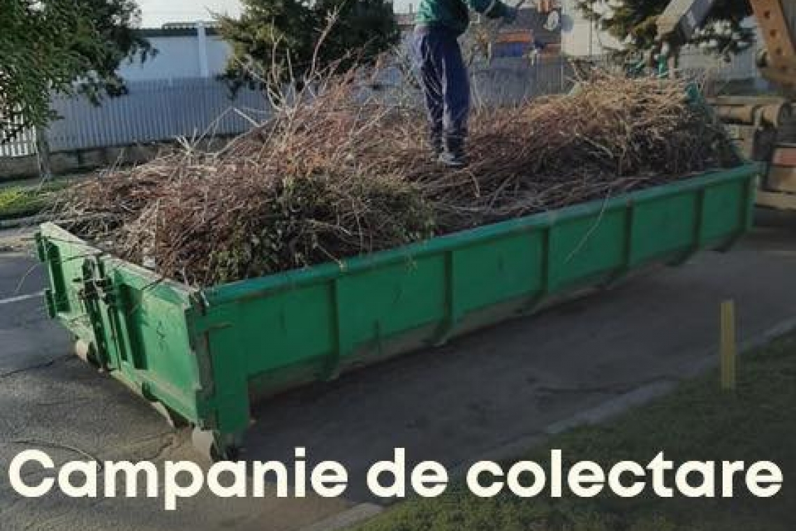 Oltenița | Campanie de colectare masă vegetală în Oltenița Veche