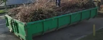 Oltenița | Campanie de colectare masă vegetală în Oltenița Veche