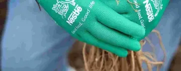 Oltenița, gazda proiectului ecologic „Pădurea de Miere Nestlé 2025”