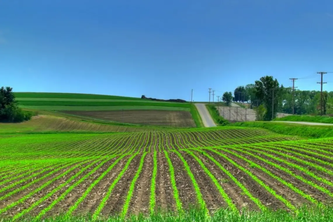 Fragmentarea terenurilor agricole din România, un avantaj ignorat