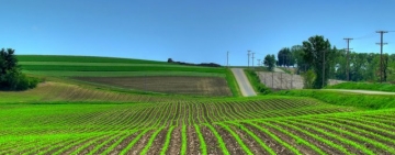Fragmentarea terenurilor agricole din România, un avantaj ignorat