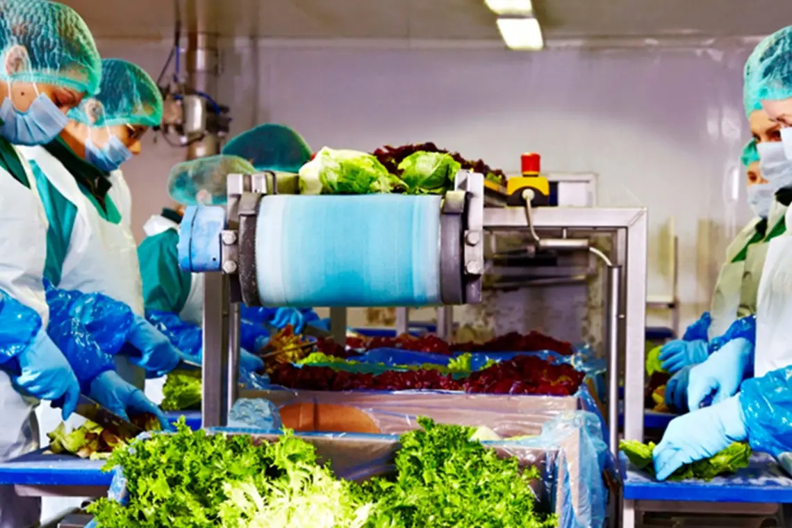 Eisberg, un reper privind securitatea alimentară a salatelor gata de consum
