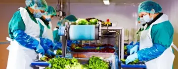 Eisberg, un reper privind securitatea alimentară a salatelor gata de consum