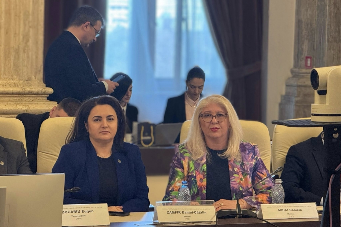 Daniela Mihai: Este important să se știe că aceste amendamente PSD înseamnă sprijin real pentru cei care au servit statul român și care, astăzi, au nevoie de susținere