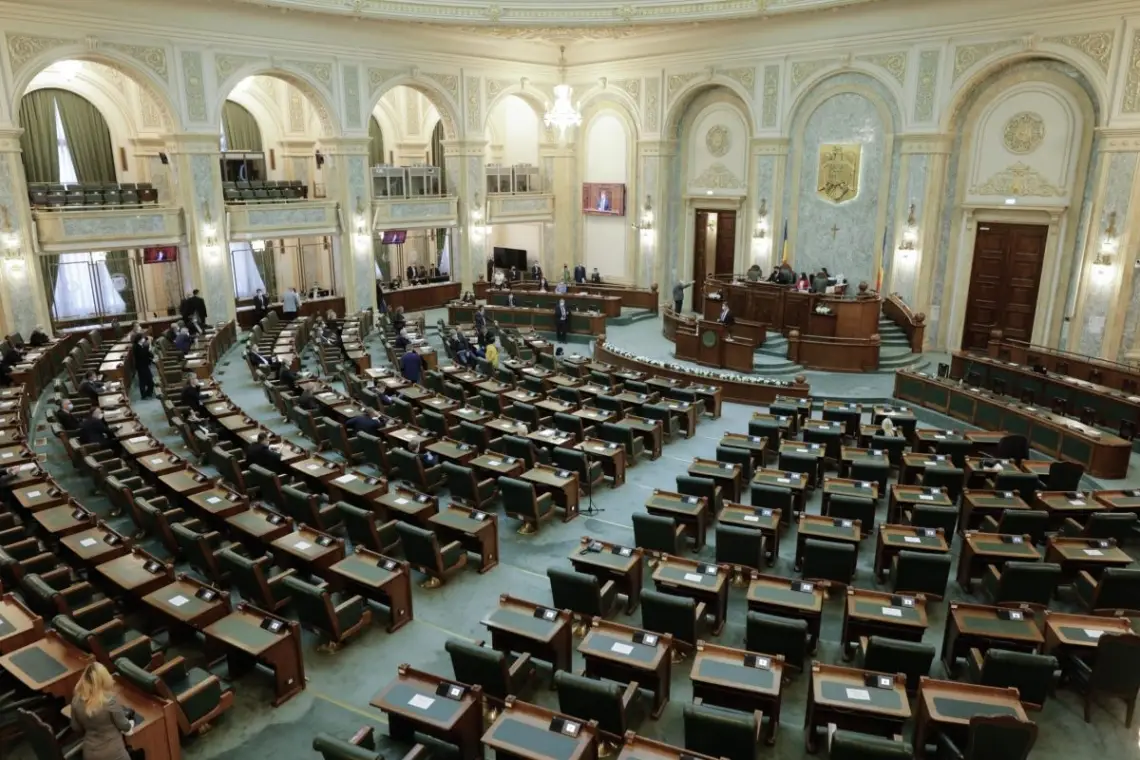 Senat: Declarație ANAF privind finanțările, obligatorie pentru ONG-uri