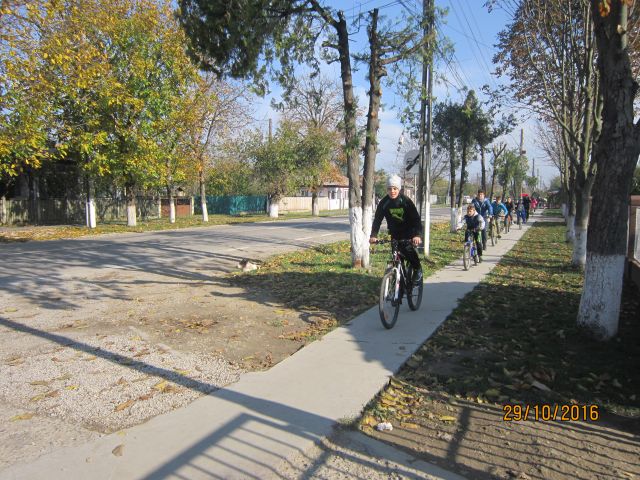 bicicl 29