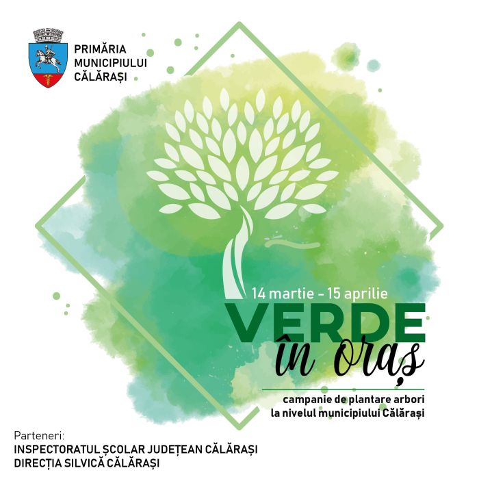 camapaniaverdeinoras
