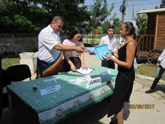 gradistea29065