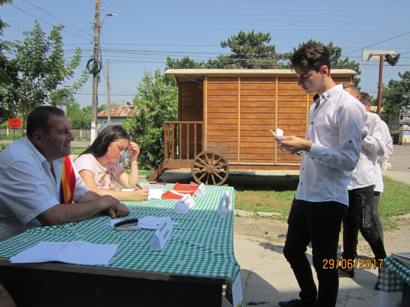 gradistea29067