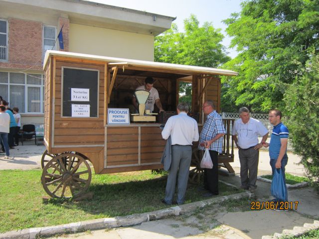 gradistea 29064