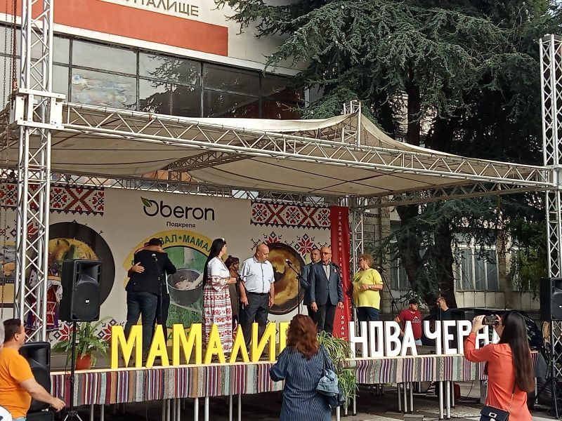 ionstefanmamaliga2