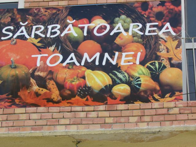 t t gradistea 17 2