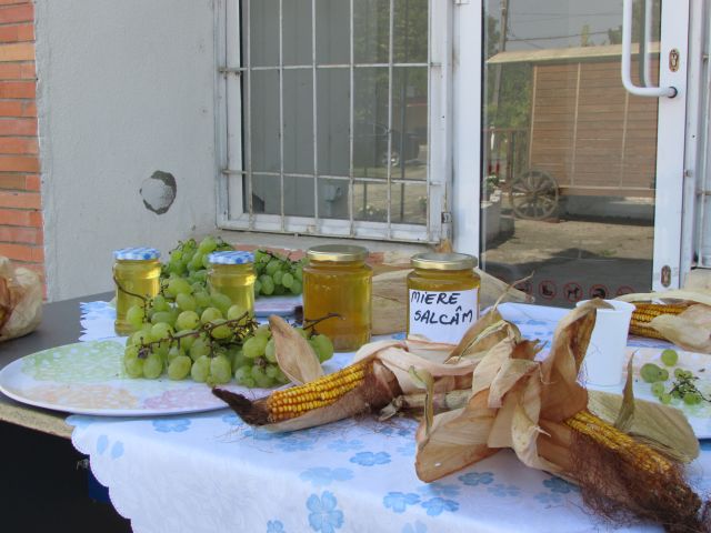 t t gradistea 17 6