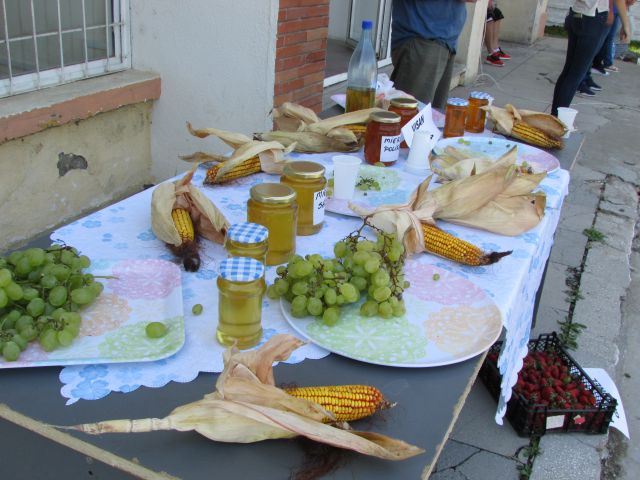 t t tradistea 17 7