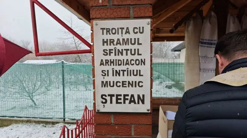 troita3