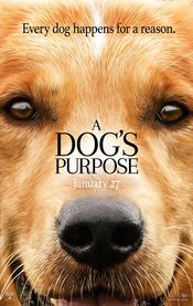 a dogs purpose 331257l 175x0 w 2bd0d6dd