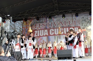 ccj 3