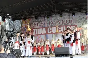 ccj 3