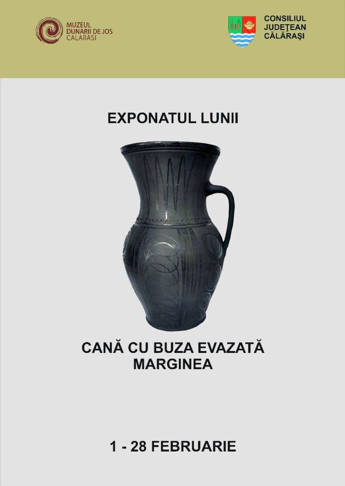 exponatlunafebruarie