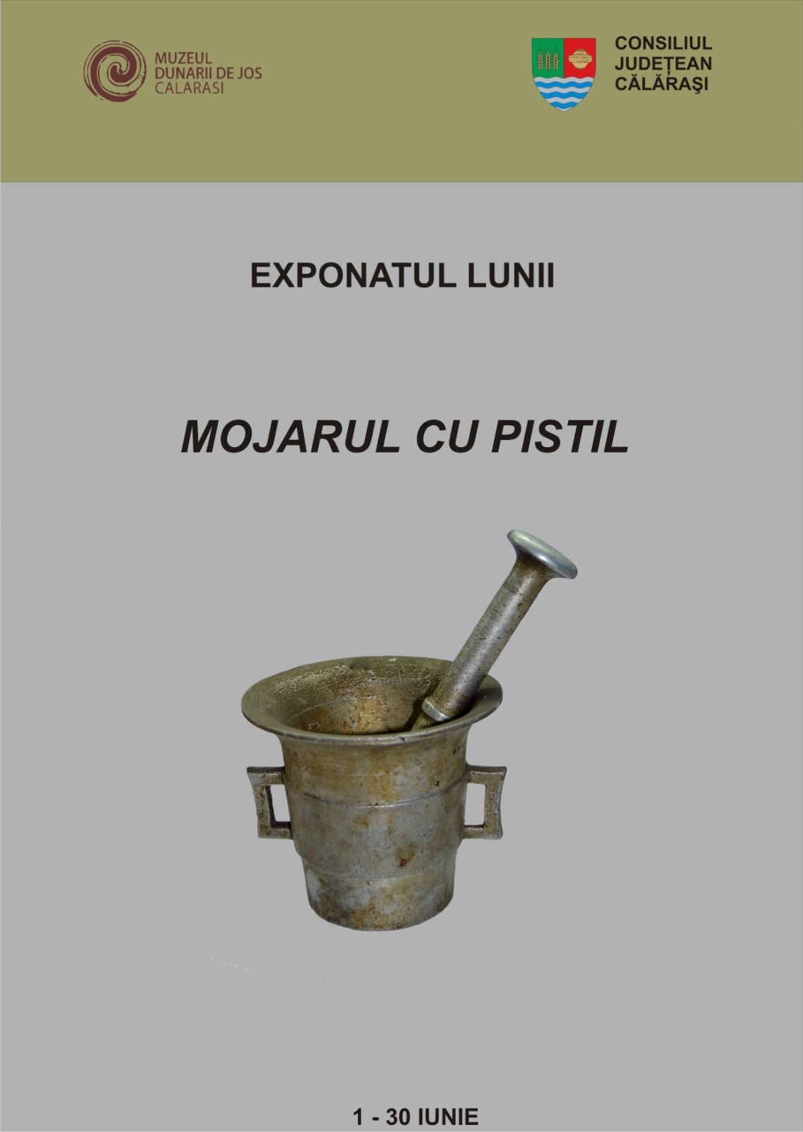 mojarulcupistil