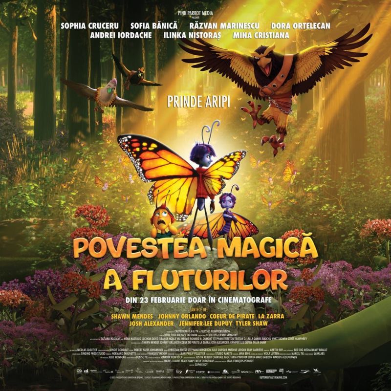 povesteamagicaafluturilorfilm