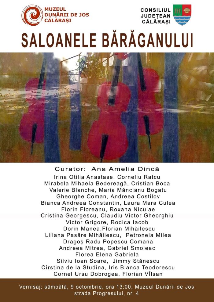 saloanelebaraganului